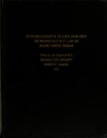 The interrelationship of the Lower Salina group and Niagaran reefs in St. Clair and Macomb Counties, Michigan