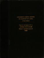 Ukrainians in Lansing, Michigan : the adjustment of a small ethnic group