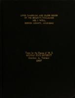 Upper Cambrian and older rocks of the Security-Thalmann No. 1 well Berrien County, Michigan