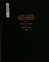 A study of the enzyme xanthine dehydrogenase from Drosophila melanogaster