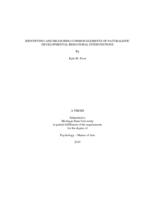 Identifying and measuring common elements of naturalistic developmental behavioral interventions