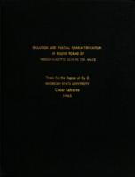 Isolation and partial characterization of bound forms of indole-3-acetic acid in Zea mays