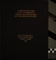 A descriptive study of scenic styles in the productions of successful, serious, American drama on the New York stage of the 1920's