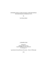 Intensification & asset dynamics : intrahousehold decision-making in Burkina Faso