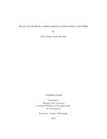 Essays on informal labor markets in developing countries