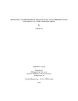 Processing and properties of thermoplastic nanocomposite foams and porous polymer composite sheets