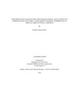 Exploring the Socialization and Transnational Social Fields of International Doctoral Scholarship Students : Experiences of African Agricultural Scientists