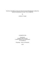 The role and regulation of pyruvate dehydrogenase in skeletal muscle bioenergetics and type 2 diabetes