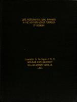 Late Woodland cultural dynamics in the northern lower peninsula of Michigan