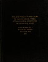 Visual-motor behavior of pre-school children and two related variables : Maternal attitudes toward child-rearing practices and children's social behavior