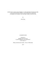 More-than-voice use of mobile at the bottom of the pyramid : analysis of motivational and contextual drivers to mobile use among low-income users in South Asia