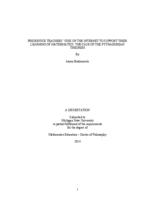 Preservice teachers' uses of the Internet to support their learning of mathematics : the case of the Pythagorean Theorem