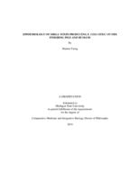 Epidemiology of Shiga toxin-producing E. coli (STEC) in the finishing pigs and humans