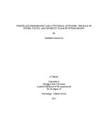 Workplace demography and attitudinal outcomes : the role of power, status, and diversity climate within groups