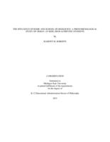 The influence of home and school on resilience : a phenomenological study of urban, at-risk, high achieving students