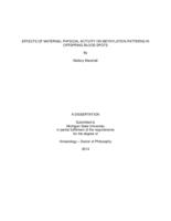 Effects of maternal physical activity on methylation patterns in offspring blood spots