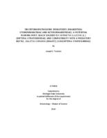 On entomopathogenic nematodes (Rhabditida: steinernematidae and heterorhabditidae : a potential rearing host, black soldier fly Hermetia illucens (L.) (Diptera: stratiomyidae) and compatibility with a predatory beetle, Dalotia coriaria (Kraatz) (Coleop...