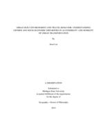 Urban built environment and travel behavior : understanding gender and socio-economic disparities in accessibility and mobility of urban transportation