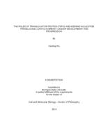 The roles of translocator protein (TSPO) and adenine nucleotide translocase 2 (ANT2) in breast cancer development and progression