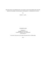 The influence of opportunity to learn to teach mathematics on preservice teachers' knowledge and beliefs : a comparative study