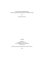 Poor urban neighborhoods : the influence of stress on Black American men