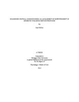 Examining critical consciousness as an element of empowerment in domestic violence service provision