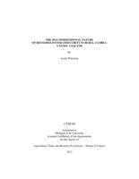 The multidimensional nature of household food insecurity in rural Zambia : a panel analysis