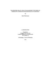 Transborder health : health management strategies of immigrants journeying from Michoacan to Michigan