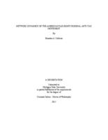 Network dynamics of the American far-right criminal anti-tax movement