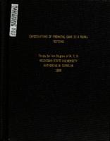 Expectations of prenatal care in a rural setting