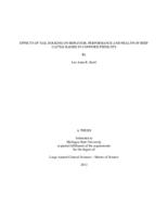 Effects of tail docking on behavior, performance and health of beef cattle raised in confined feedlots