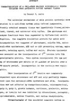 Characteristics of a cell-free protein synthesizing system isolated from lactating bovine mammary glands