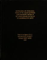 Morphological and physiological studies of the Limulus polyphemus heart : Microscopic anatomy of the cardiac ganglion and role of the cardioregulatory nerves