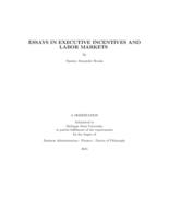 Essays in executive incentives and labor markets
