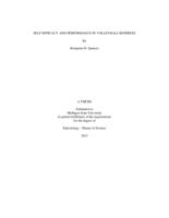 Self-efficacy and performance in volleyball referees