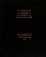 Policy making regarding the drug problem : an experimental study of cognitive complexity and small group decision-making