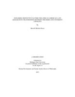 Exploring protective factors for African American late adolescents transitioning between the home and university contexts