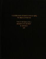 A discrete state deterministic system model for analysis of the firm