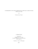 Commissioning and characterization of the NSCL's large volume linear gas cell