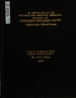 The morphology of the genitalia and associated abdominal segments of Monochamus carolinensis (Olivier) (Coleoptera: cerambycidae)