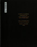 The effects of exogenous thyroxine on the iodine turnover of the chick thyroid gland