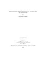 Immigrants, self-employment, ethnicity, and growth in the United States