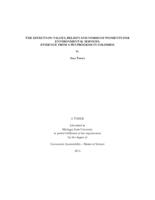 The effects on values, beliefs and norms of Payments for Environmental Services : evidence from a PES program in Colombia