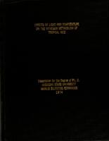 Effects of light and temperature on the nitrogen metabolism of tropical rice
