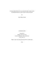 Student perceptions of SocialSim for simulation-based interprofessional education in healthcare