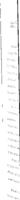 Characteristics of low income rural families related to expenditure and comsumption patterns : an analysis of rural poverty for public program purposes