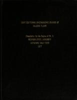 Light scattering spectroscopic studies of silicone fluids