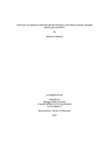 The role of muscle-derived neurotrophic factors in spinal bulbar muscular atrophy