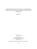 Spillover effects of public works on labor markets : evidence from national rural employment guarantee scheme, India