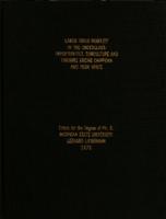 Labor force mobility in the underclass : opportunities, subculture and training among Chippewa and poor white